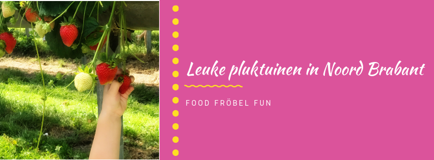 8 tips voor leuke pluktuinen in Noord Brabant