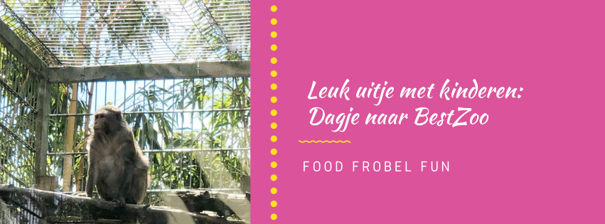 Leuk uitje met kinderen: Dagje BestZoo